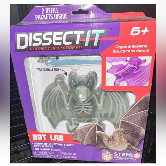 NEW Dissect-it Synthetic Lab Dissection Toy STEM KIT CRAFT Project Bat Biology - Picture 1 of 3
